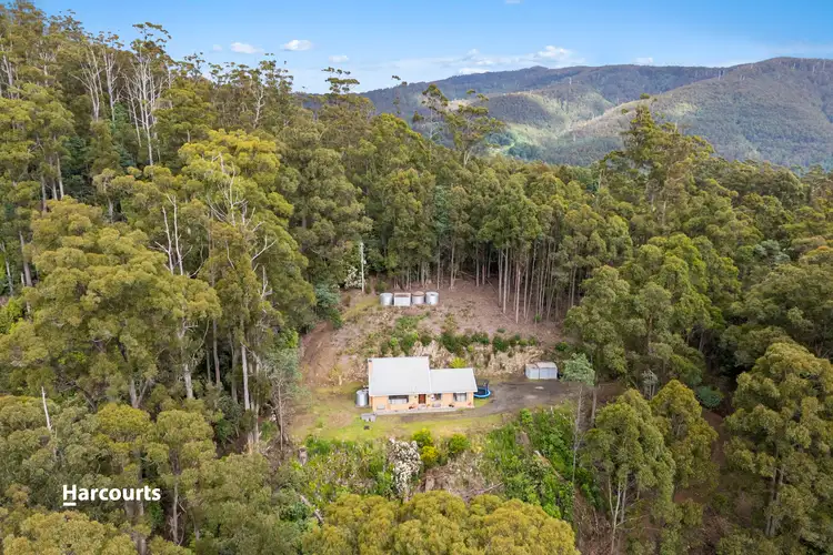 242 Watsons Road