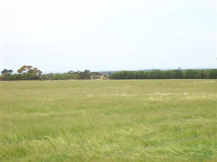 Fifth view of Homely rural property listing, 462-520 Queenscliff-Portarlington Road, Drysdale VIC 3222