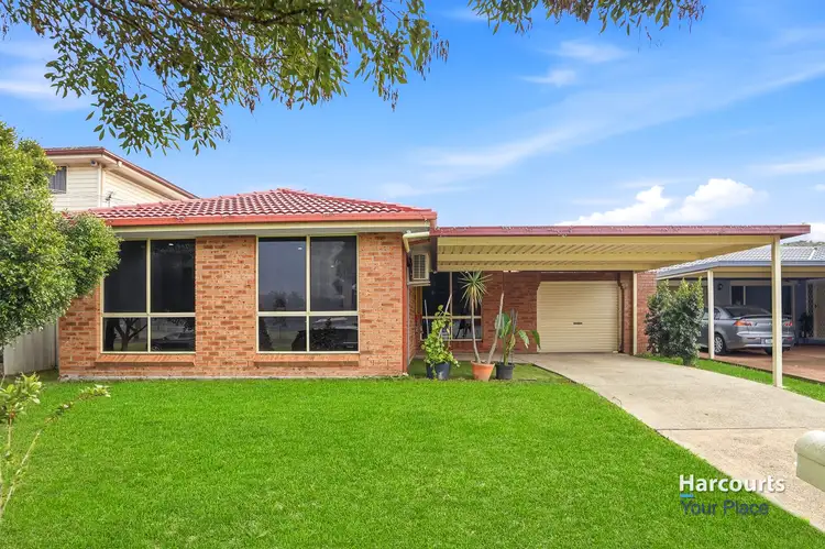 51 Southee Circuit
