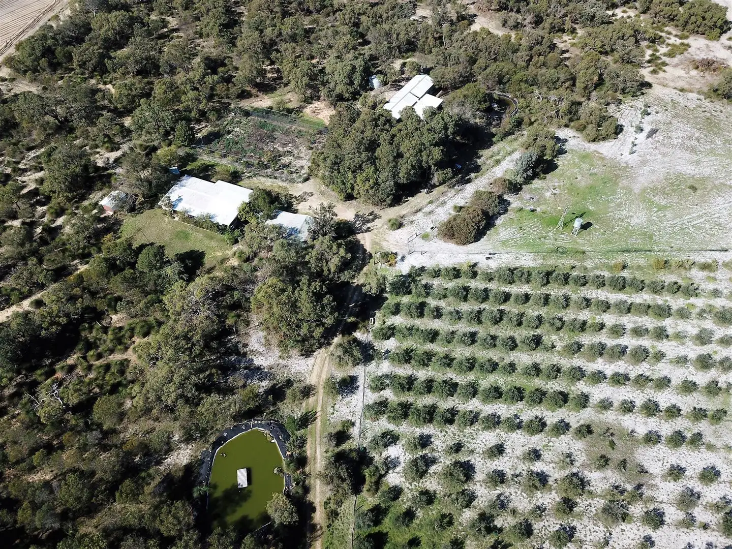 Main view of Homely rural property listing, 117 Teal Park Place Neergabby, Gingin WA 6503