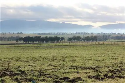Main view of Homely rural property listing, . Yarrandi Rd, "Melness", Scone NSW 2337
