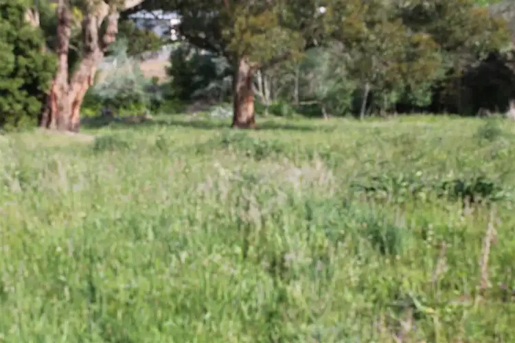 Seventh view of Homely land listing, 29 Power Street, Timboon VIC 3268