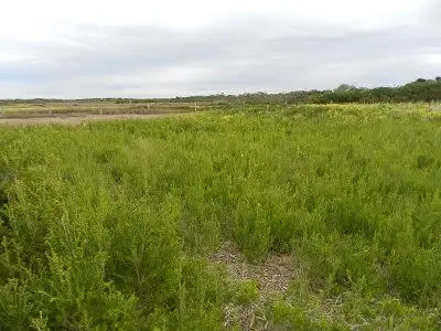 Second view of Homely land listing, 2 King Street, Port Albert VIC 3971