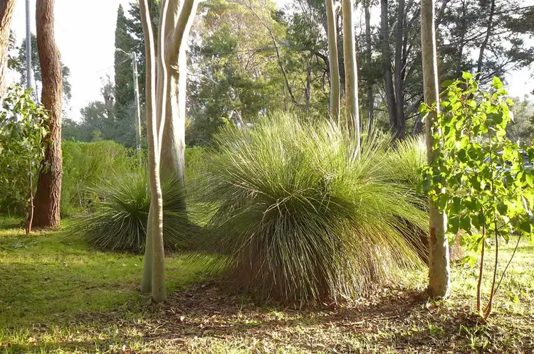 Third view of Homely land listing, 7 Dearle St, Balingup WA 6253