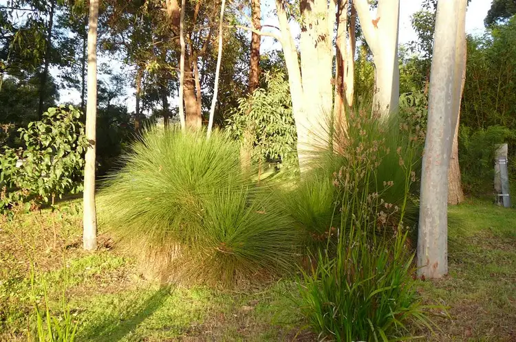 Fourth view of Homely land listing, 7 Dearle St, Balingup WA 6253