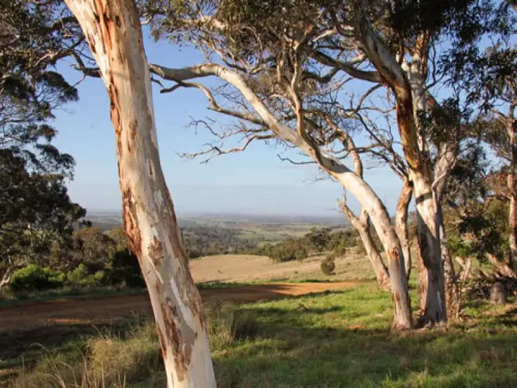 Third view of Homely rural property listing, 101 Signal Flat Road, Ashbourne SA 5157