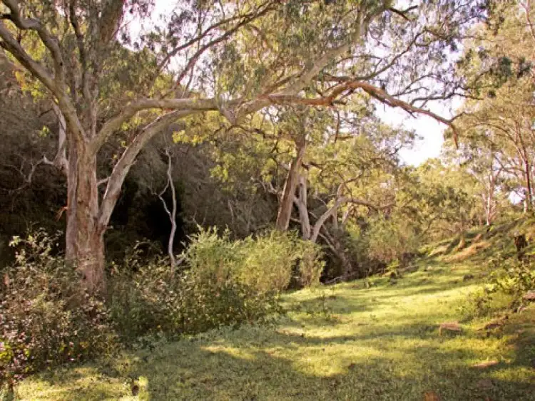 Fourth view of Homely rural property listing, 101 Signal Flat Road, Ashbourne SA 5157