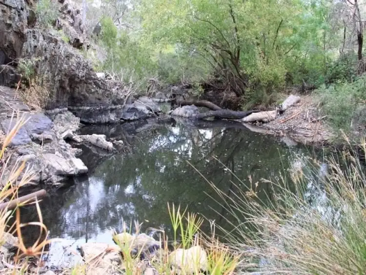 Fifth view of Homely rural property listing, 101 Signal Flat Road, Ashbourne SA 5157