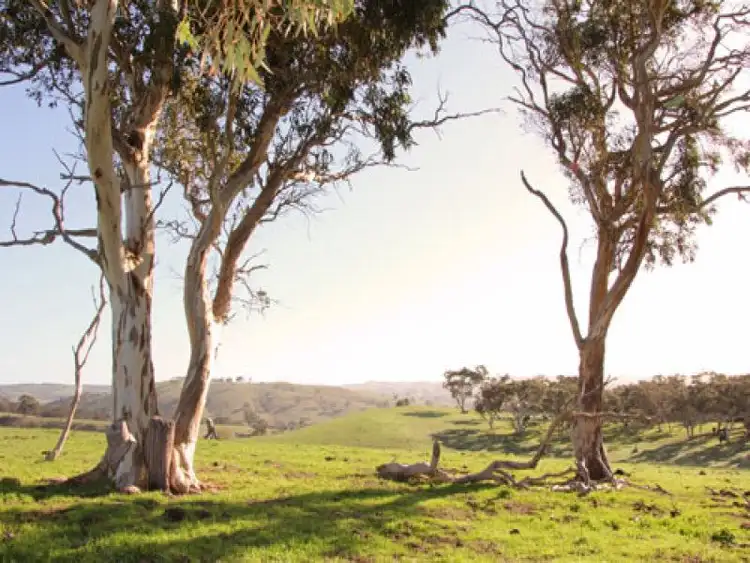 Sixth view of Homely rural property listing, 101 Signal Flat Road, Ashbourne SA 5157