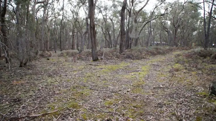 Sixth view of Homely land listing, Lot 11 Ferrers Road, Dereel VIC 3352