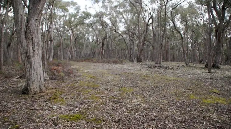 Seventh view of Homely land listing, Lot 11 Ferrers Road, Dereel VIC 3352