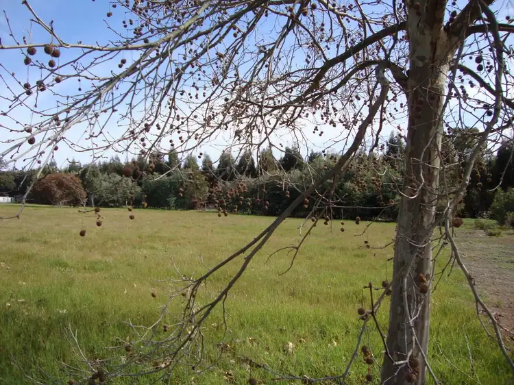Second view of Homely land listing, Lot 3 Balmoral Drive, Bridgetown WA 6255