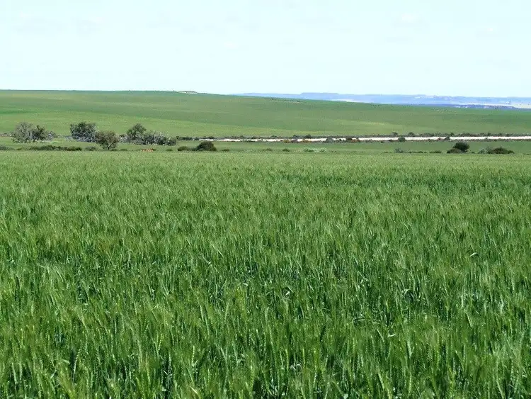 Third view of Homely rural property listing, Address available on request