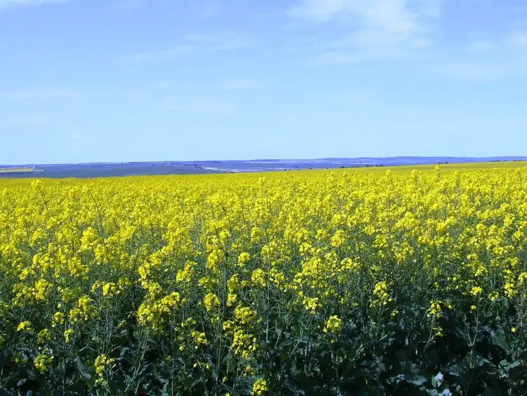 Fourth view of Homely rural property listing, Address available on request