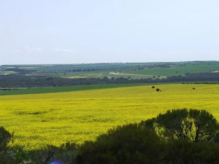 Seventh view of Homely rural property listing, Address available on request