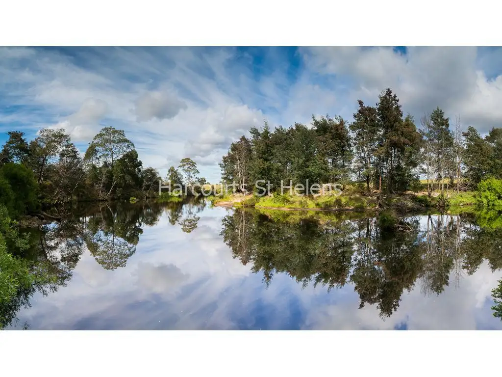 Main view of Homely land listing, PID 2786975 Canhams Road, St Helens TAS 7216