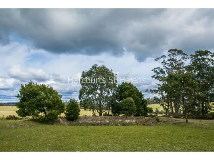 Fourth view of Homely land listing, PID 2786975 Canhams Road, St Helens TAS 7216