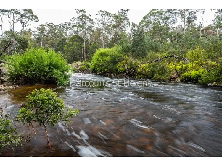 Fifth view of Homely land listing, PID 2786975 Canhams Road, St Helens TAS 7216