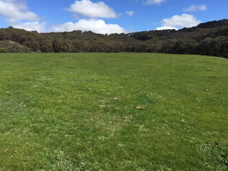 Fourth view of Homely rural property listing, 1267 Yarck Road, Gobur VIC 3719