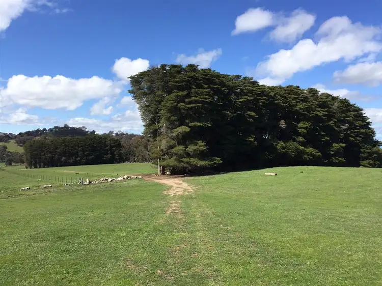 Fifth view of Homely rural property listing, 1267 Yarck Road, Gobur VIC 3719