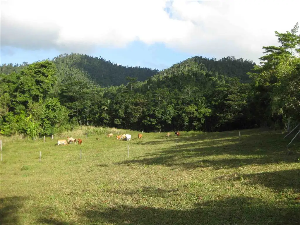 Main view of Homely rural property listing, Address available on request