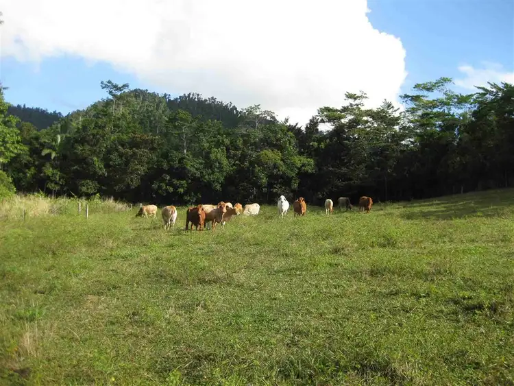 Seventh view of Homely rural property listing, Address available on request