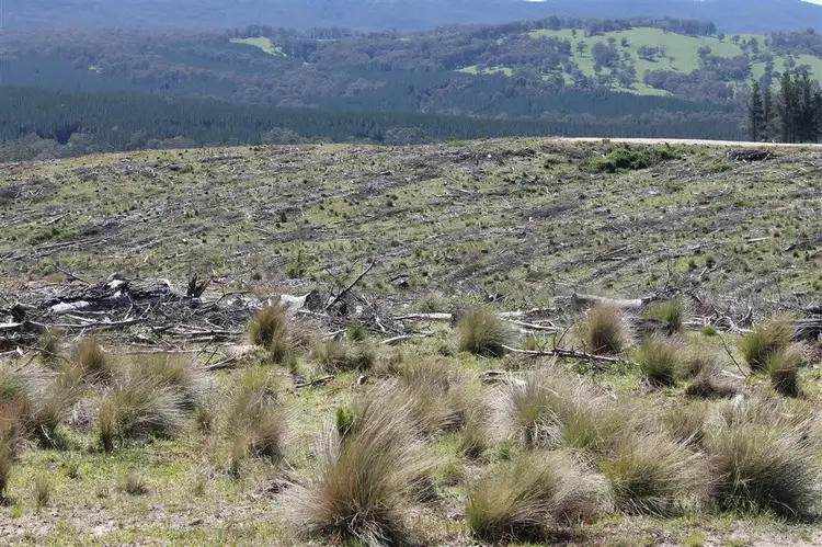 Seventh view of Homely rural property listing, Lot 94 off South Forest Way, Kindervale via, Braidwood NSW 2622