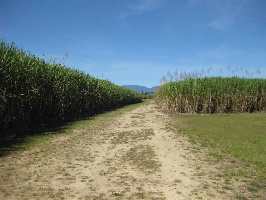 Main view of Homely rural property listing, Address available on request