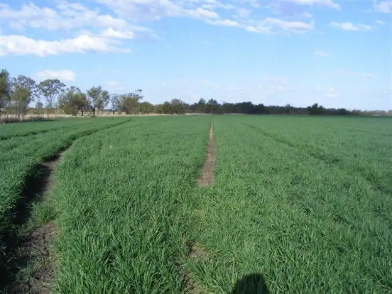 Main view of Homely rural property listing, 131 OLD WARREGO HIGHWAY, Dalby QLD 4405