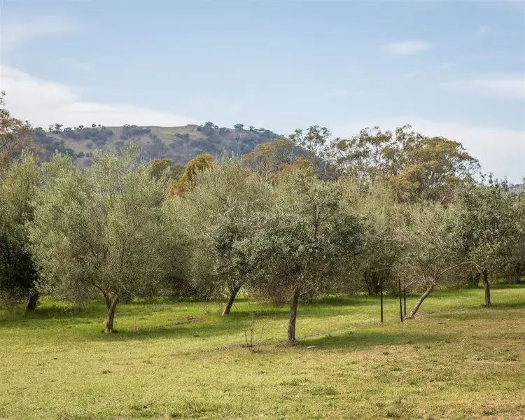 Sixth view of Homely rural property listing, 1679 Euroa Mansfield Road Gooram, Euroa VIC 3666