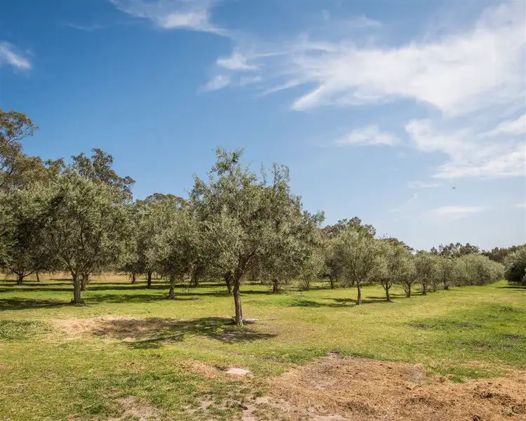 Seventh view of Homely rural property listing, 1679 Euroa Mansfield Road Gooram, Euroa VIC 3666