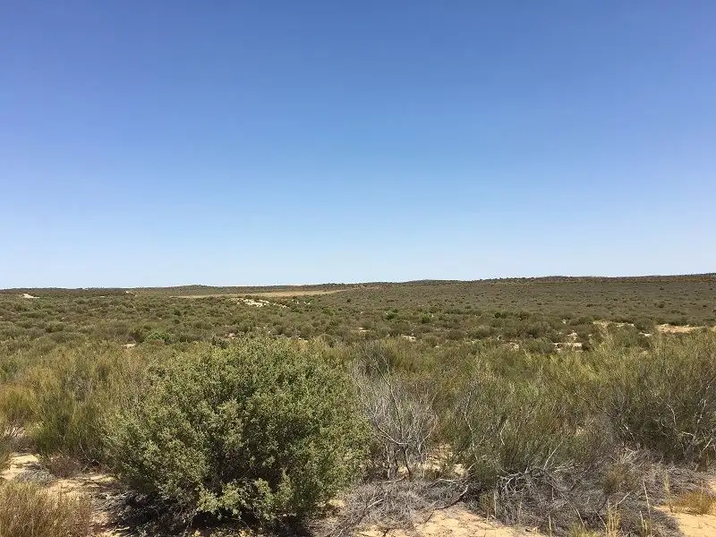 Main view of Homely rural property listing, 32 Ridgway Road, Lameroo SA 5302