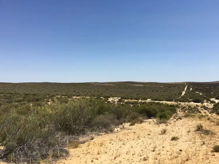 Third view of Homely rural property listing, 32 Ridgway Road, Lameroo SA 5302