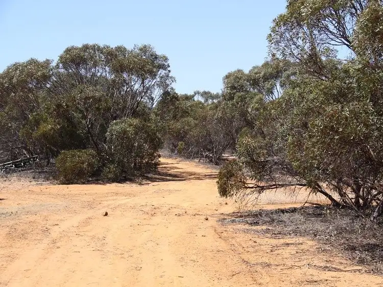 Fifth view of Homely rural property listing, 32 Ridgway Road, Lameroo SA 5302