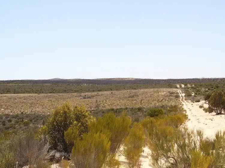 Sixth view of Homely rural property listing, 32 Ridgway Road, Lameroo SA 5302