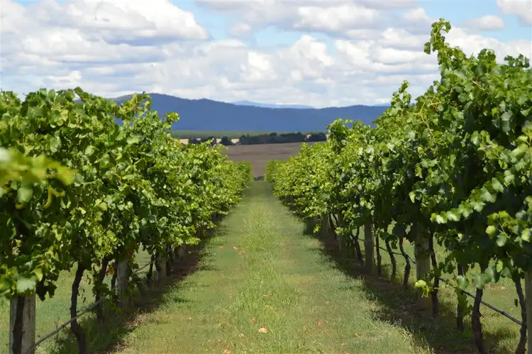 Fifth view of Homely rural property listing, 3446 Jingellic Road, Mannus via, Tumbarumba NSW 2653