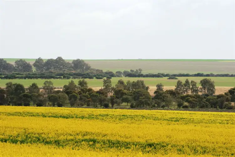 Third view of Homely rural property listing, Address available on request