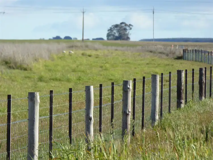 Seventh view of Homely rural property listing, . Moyhall Road, Naracoorte SA 5271