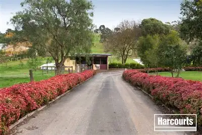Third view of Homely house listing, 125 Quamby Road, Guys Hill VIC 3807