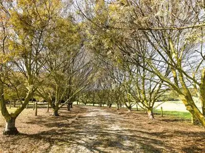 Third view of Homely rural property listing, 103 Johnsons Road, Koonwarra VIC 3954