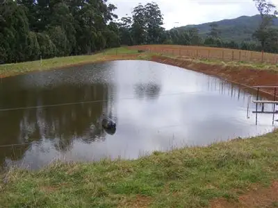 Seventh view of Homely rural property listing, 111 Allens Road, Sisters Creek TAS 7325