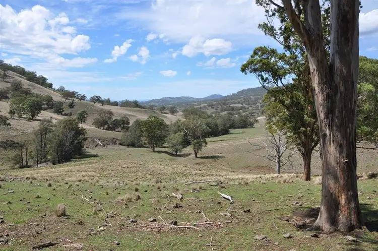 Third view of Homely rural property listing, . "East Towarri", Kars Springs Rd, Scone NSW 2337