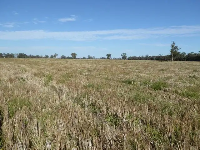 Main view of Homely rural property listing, . Gap Road, Frances SA 5262