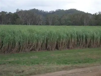 Lot 2 Eton Homebush Road, Oakenden QLD 4741