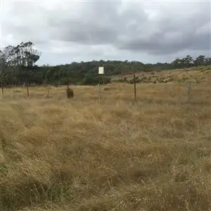 13 Groves Road, Gladstone TAS 7264