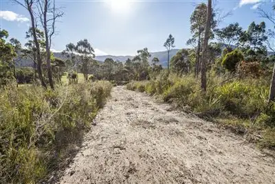 Main view of Homely land listing, Lot 1 She Oak Road, Judbury TAS 7109