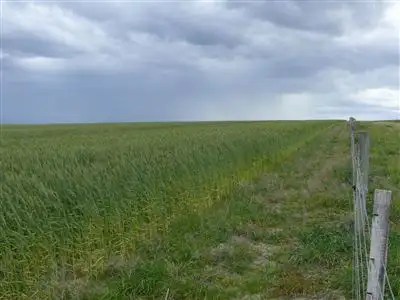 Sixth view of Homely rural property listing, Lot 1011 Melalueca Road, Esperance WA 6450