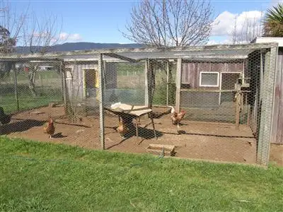 Fifth view of Homely rural property listing, 169 South Springfield Road, Springfield TAS 7260