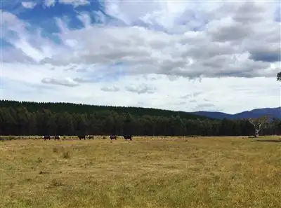 Third view of Homely rural property listing, 3010 Blessington Road, Blessington TAS 7212