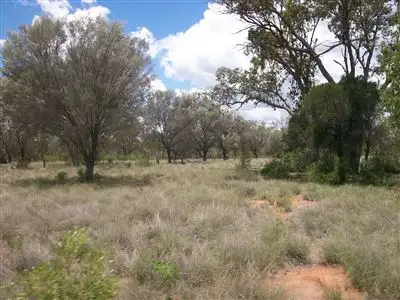Fourth view of Homely rural property listing, . "Ardgour", Cunnamulla QLD 4490